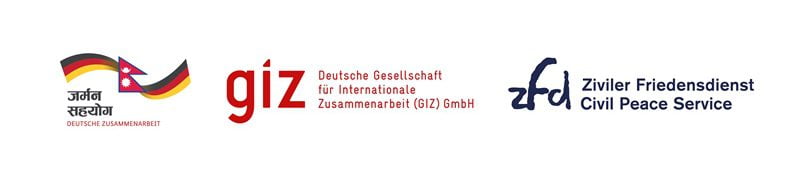 Logo of giz