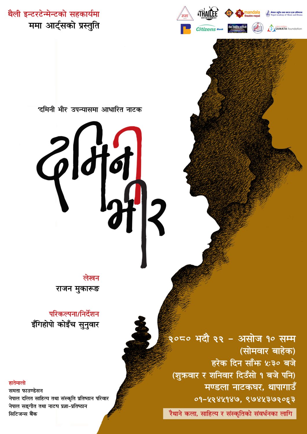 A3_Damini Bhir Poster